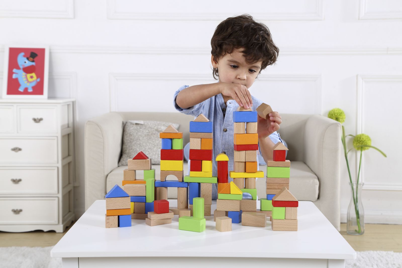 Wooden Toy Block Sets